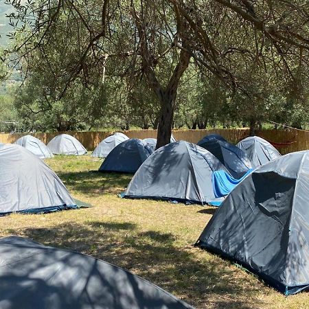 Borsh Olive Camping Hotel Bagian luar foto