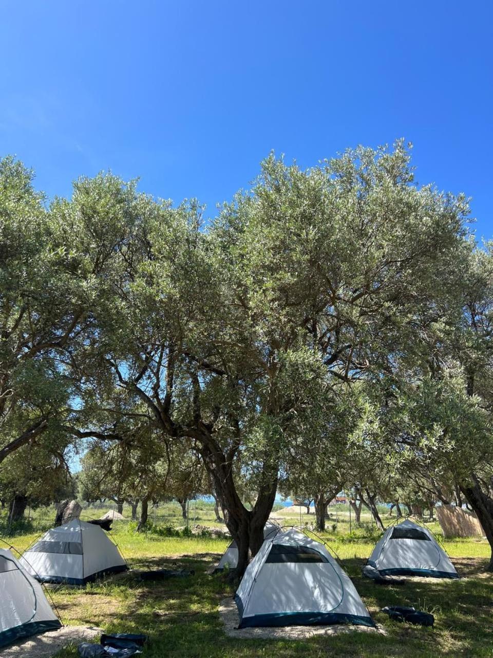 Borsh Olive Camping Hotel Bagian luar foto