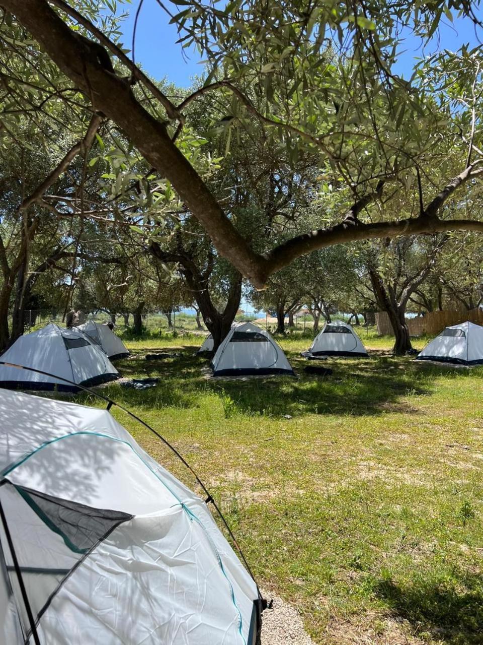 Borsh Olive Camping Hotel Bagian luar foto