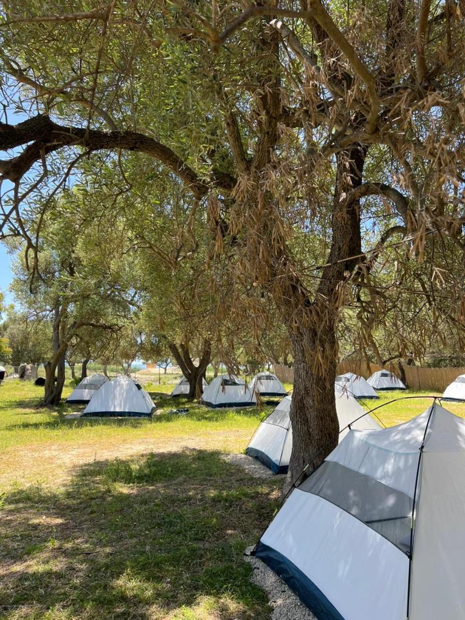 Borsh Olive Camping Hotel Bagian luar foto